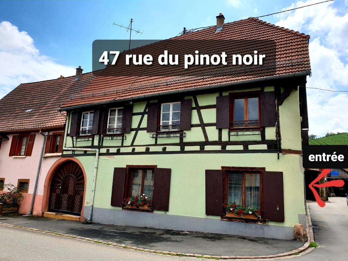 Charmant Appartement Alsacien Rodern Exterior foto